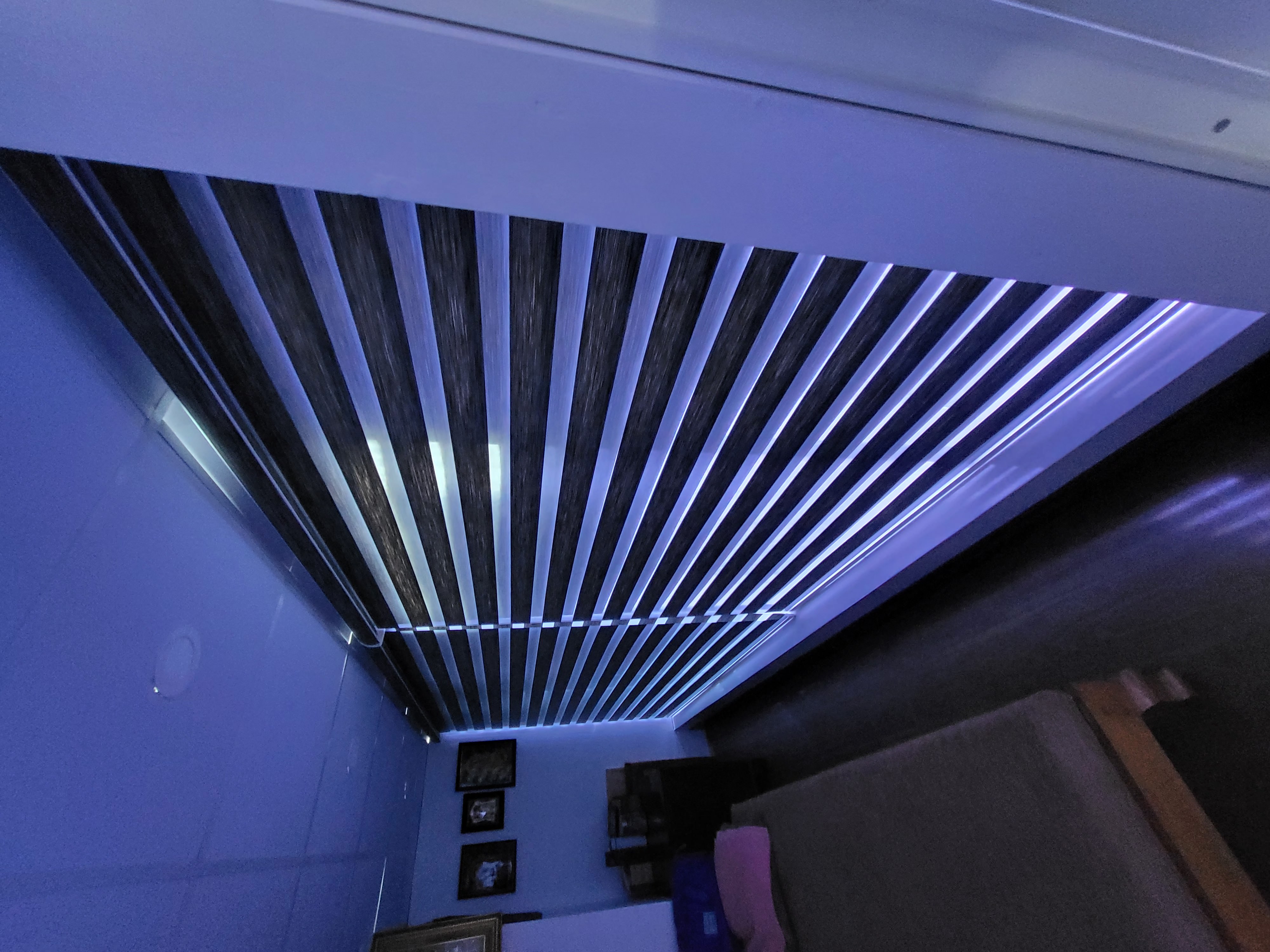 Motorized Blinds