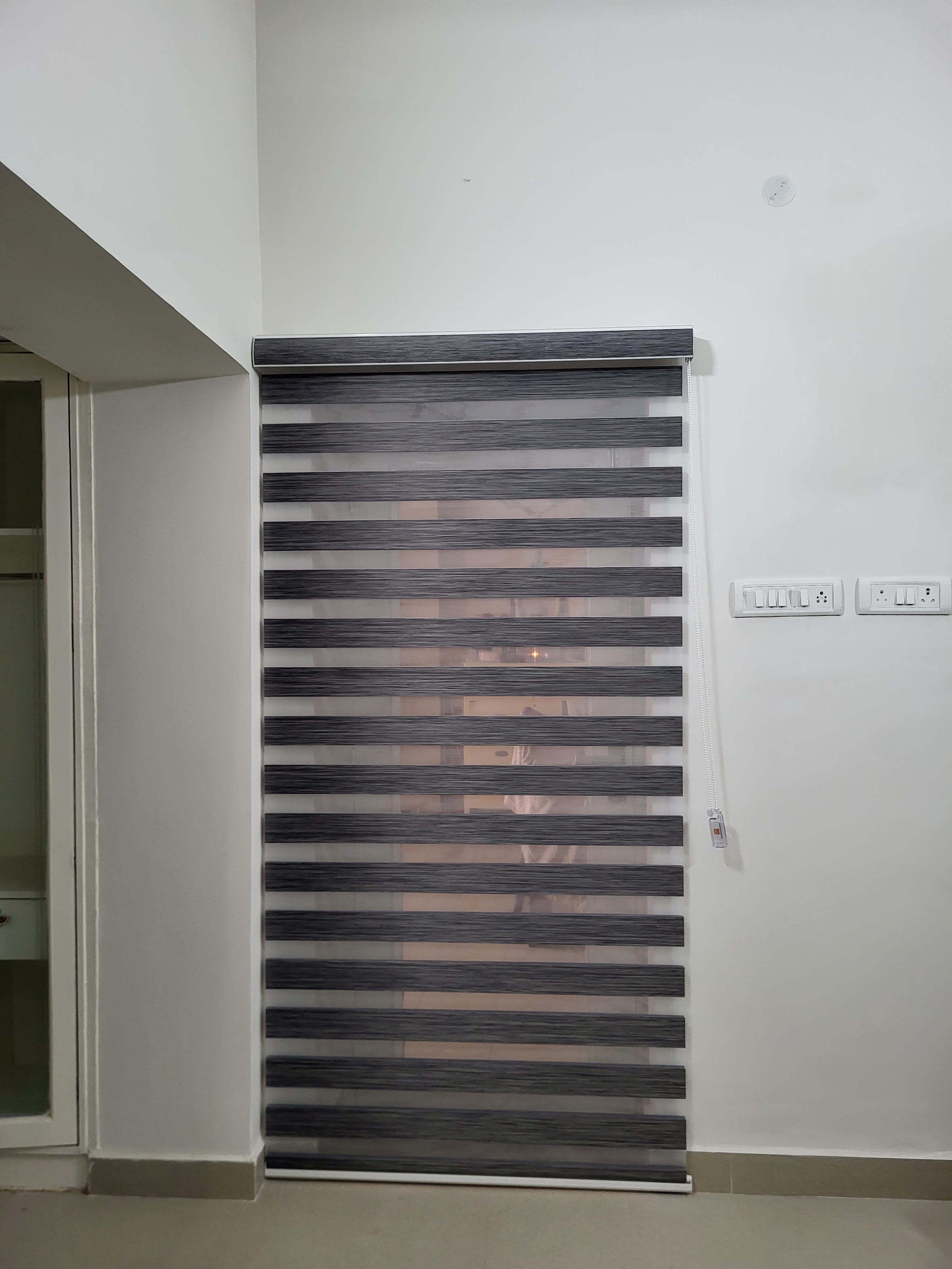 Zebra Blinds